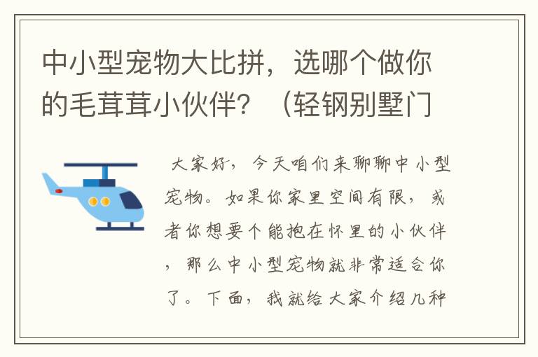 中小型宠物大比拼，选哪个做你的毛茸茸小伙伴？（轻钢别墅门窗安装视频）